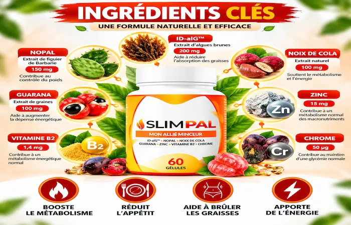 Slimpal Ingredients Clés